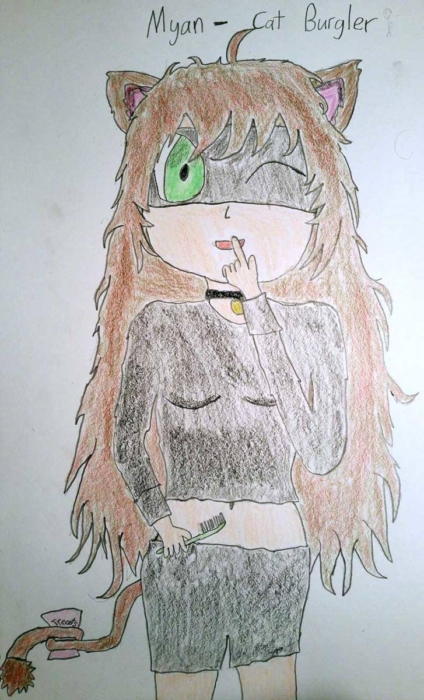 Myan Cat Burglar