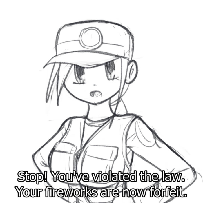 You have violated the law